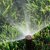Balboa Island Sprinklers by Southcal Landscape Corporation