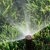 Paramount Sprinklers by Southcal Landscape Corporation