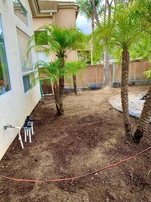 Before & After Sod Installation in Aliso Viejo, CA (1)