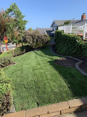 Sod Installation in Trabuco Canyon