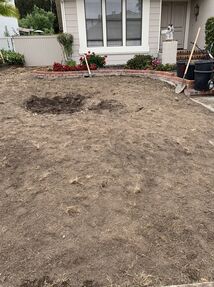 Before & After Sod Services in Costa Mesa, CA (1)
