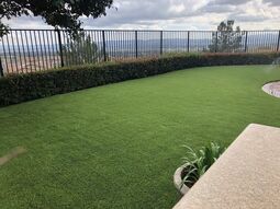 Beautiful Synthetic Turf Installed in Costa Mesa, CA (1)