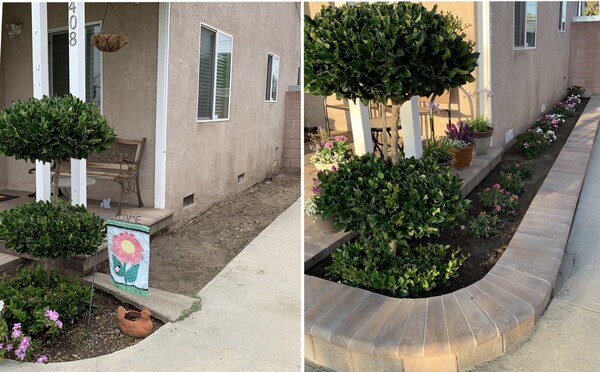 Before & After Landscape Design & Installation in Costa Mesa, CA (1)