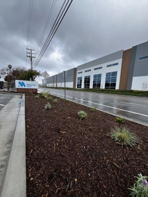 Commercial Landscape Installation in Fullerton, CA (4)