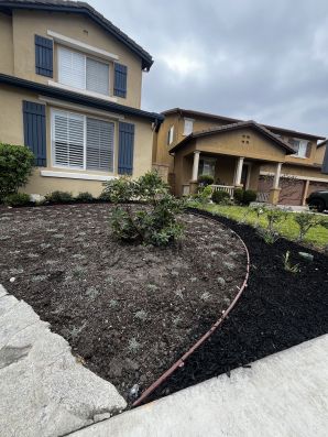 Landscape Design in Laguna Niguel, CA (3)