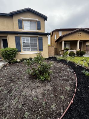Landscape Design in Laguna Niguel, CA (4)