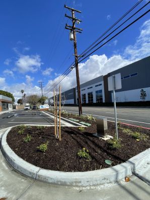Commercial Landscape Installation in Fullerton, CA (3)